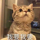 用户5389711681140头像