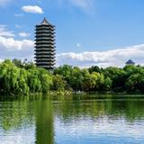 浴血荣光3头像