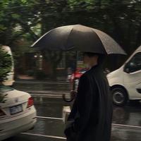 Y捉你去煲汤头像