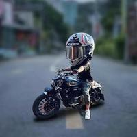 芬陀利华334头像