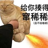 进取香瓜Lw头像