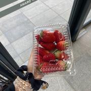 陌上花的个人资料头像