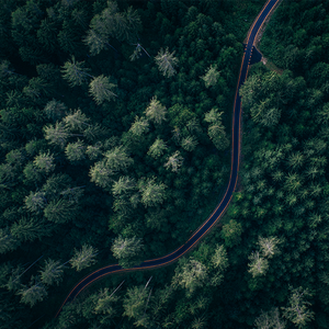 正直的河间头像