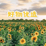 梦想成真好物优选头像