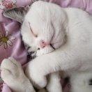 李红袖的个人资料头像