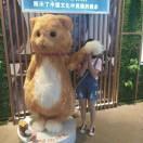 特殊的殊的个人资料头像