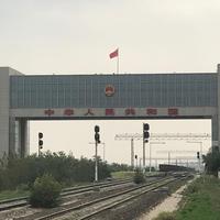 抖的神魂颠倒头像