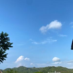 东海闲聊头像