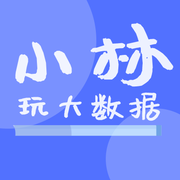 小林玩大数据的个人资料头像