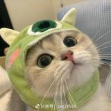 正能量清风udh头像