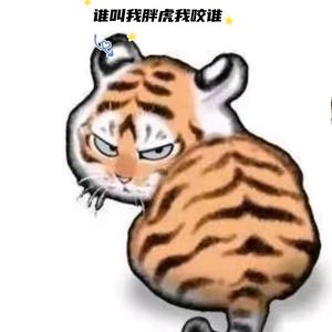 小虎虎胡头像