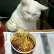今天该去干点啥的个人资料头像