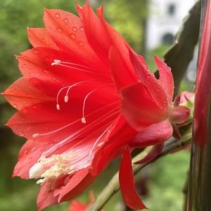 心在山水间头像