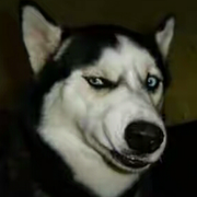 不明真相的吃瓜群众君的个人资料头像