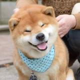 小瓶盖Shawn5头像