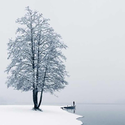 高朋满座的个人资料头像