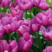 叮当837的个人资料头像