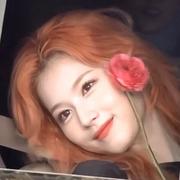 小飞龙与彼得潘的个人资料头像
