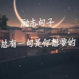 dfy1349头像