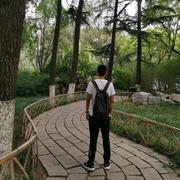 漫步雾雨的个人资料头像