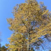您好呀的个人资料头像