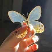 双层吉士宝的个人资料头像