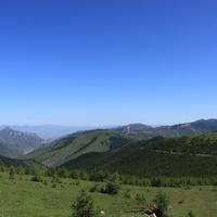 远看一枝花321头像