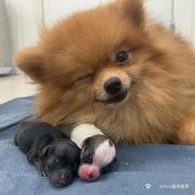 touka的个人资料头像
