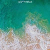 莫名头像
