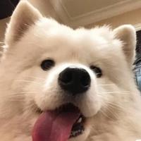 爱思考的八点之间头像