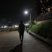 努力码砖的hoe的个人资料头像