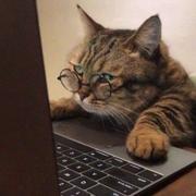 用户7092193158767的个人资料头像