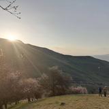 民强261头像