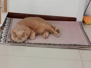 Liudel的个人资料头像