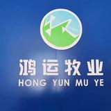 用户428704889572头像