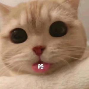 用户2144702473124头像