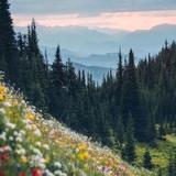 精彩综艺影视瞬间头像