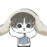 momo4592头像
