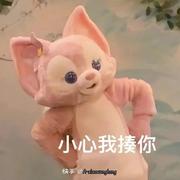 ____白山茶的个人资料头像