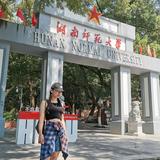 爱语文的李老师头像