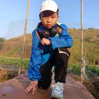 曳舞少年杨昊头像