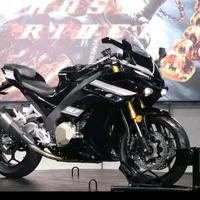 谢十七🐍（TOP潮客先生）头像