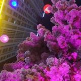 一把大扳手头像