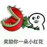 正在输入76377640头像
