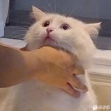 Justdoit32167566头像