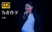 树道人的个人资料头像