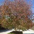 零下零度的个人资料头像