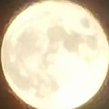 名字留着慢慢想头像