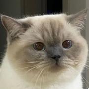 李贺956的个人资料头像