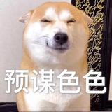 杨桃.头像